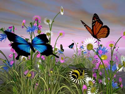 Beautiful-Butterflies-butterflies-9481156-1600-1200