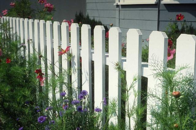 fence