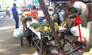 06-04-16 waste pipe to cana