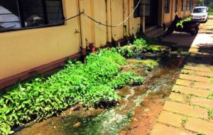 ചാവക്കാട് മിനി സവില് സ്റ്റേഷന് കക്കൂസ് പൈപ്പുകള് പൊട്ടി മാലിന്യം പുറത്തൊഴുകുന്നു
